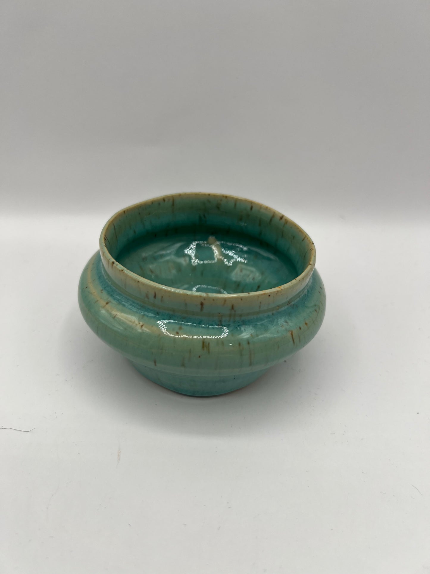 Speckle & Succulent Planter